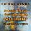 Artwork for Soulmate (Doug Gomez Remix)