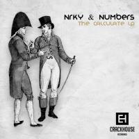 Artwork for The Calculate LP by NRKY & Numbers