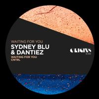 Artwork for Waiting For You by Sydney Blu