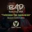 Artwork for Through The Darkness (Groove Control Radio Edit)