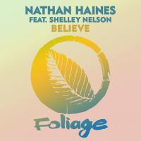 Artwork for Believe by Nathan Haines