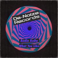 Artwork for What You Like by Audio Kode