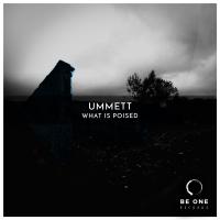 Artwork for What Is Poised by Ummett