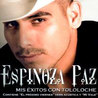 Artwork for Mis Éxitos Con Tololoche by Espinoza Paz