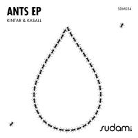 Artwork for Ants EP by Kintar