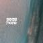 Artwork for Seashore