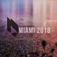 Artwork for Miami 2018 by Several Definitions