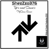 Artwork for Up's and Down's (Original mix) by Shezzzo376