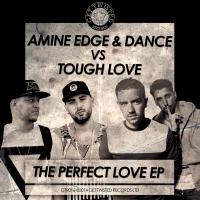 Artwork for The Perfect Love by Amine Edge & DANCE