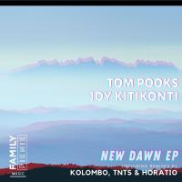 Artwork for New Dawn EP by Tom Pooks