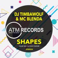 Artwork for Shapes by DJ Timbawolf