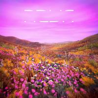 Artwork for NOVA Pure by RL Grime