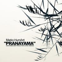 Artwork for Pranayama by Marko HumAnt