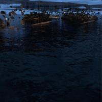 Artwork for Good / Better by Giles Appleton