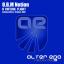 Artwork for A Virtual Flight (UDM Remix)