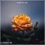 Artwork for Beautiful Life (Extended Mix)