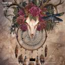 Artwork for Om