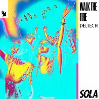 Artwork for Walk The Fire by Deltech
