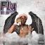 Artwork for Fly Wit Me