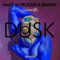 Artwork for Cenzontle (Remixes) by Name In Process