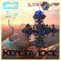 Artwork for Kepler Ex1 by Blooming Shapes