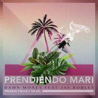 Artwork for Prendiendo mari (feat. Jay Robles) by Damn Money