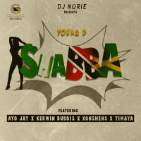 Artwork for Shabba (feat. Young D, Ayo Jay, Kerwin Dubois, Konshens & Timaya) by DJ Norie