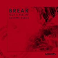 Artwork for Got A Feelin' / Sesame Seeds by Break