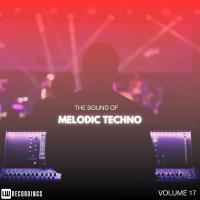 Artwork for The Sound Of Melodic Techno, Vol. 17 by Various Artists