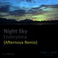 Artwork for Endorphine by Night Sky