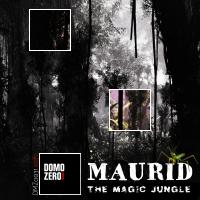 Artwork for The Magic Jungle 432Hz by Maurid