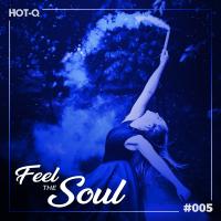 Artwork for Feel The Soul 005 by Various Artists