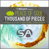 Artwork for Thousand Of Pieces by Milosh K