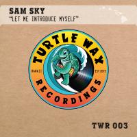 Artwork for Let Me Introduce Myself by Sam Sky