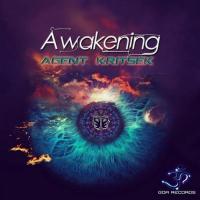 Artwork for The Awakening by Agent Kritsek