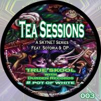 Artwork for Tea Sessions, Vol. 3 by Skynet