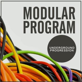 Artwork for Synthetic Program (Original Mix)