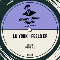 Artwork for Feels by Lu York