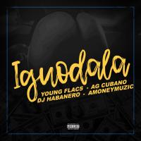 Artwork for Iguodala by Young Flacs