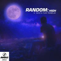 Artwork for High by Random