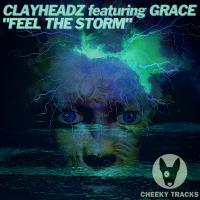 Artwork for Feel The Storm by ClayHeadz