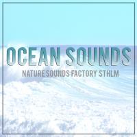 Artwork for Ocean Sounds by Nature Sounds Factory STHLM