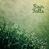 Artwork for Rain Falls by Rain Sounds