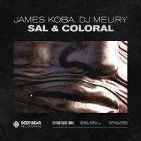 Artwork for Sal & Coloral by James Koba