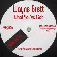 Artwork for What You've Got by Wayne Brett