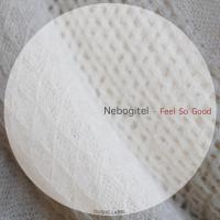 Artwork for Feel So Good by Nebogitel