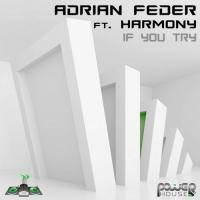 Artwork for If You Try by Adrian Feder