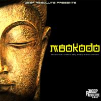 Artwork for Mbokodo by Zulu Dynamics