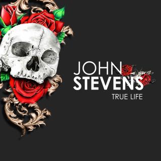 Artwork for True Life