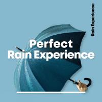 Artwork for Perfect Rain Experience by Nature Sounds Nature Music